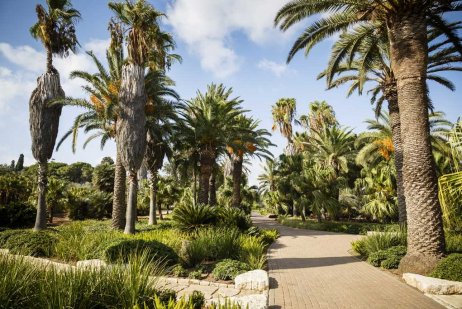 Ramat Handiv gardens, Zichron Yaacov, Israel.