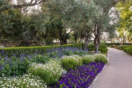 Ramat Hanadiv Gardens, May 2018, Zichron Yaacov, Israel.