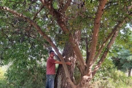 אופיר קירי, מחבק את אחד העצים בזכרון